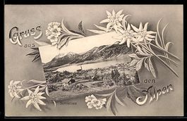 Grusskarten-AK Schliersee, Ortsansicht m