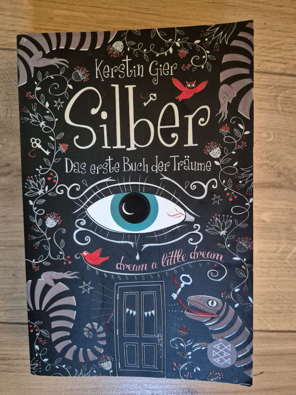 Libri: Silber - Das erste Buch der Träume – Usato da Berneck venduto da jst_nk6y