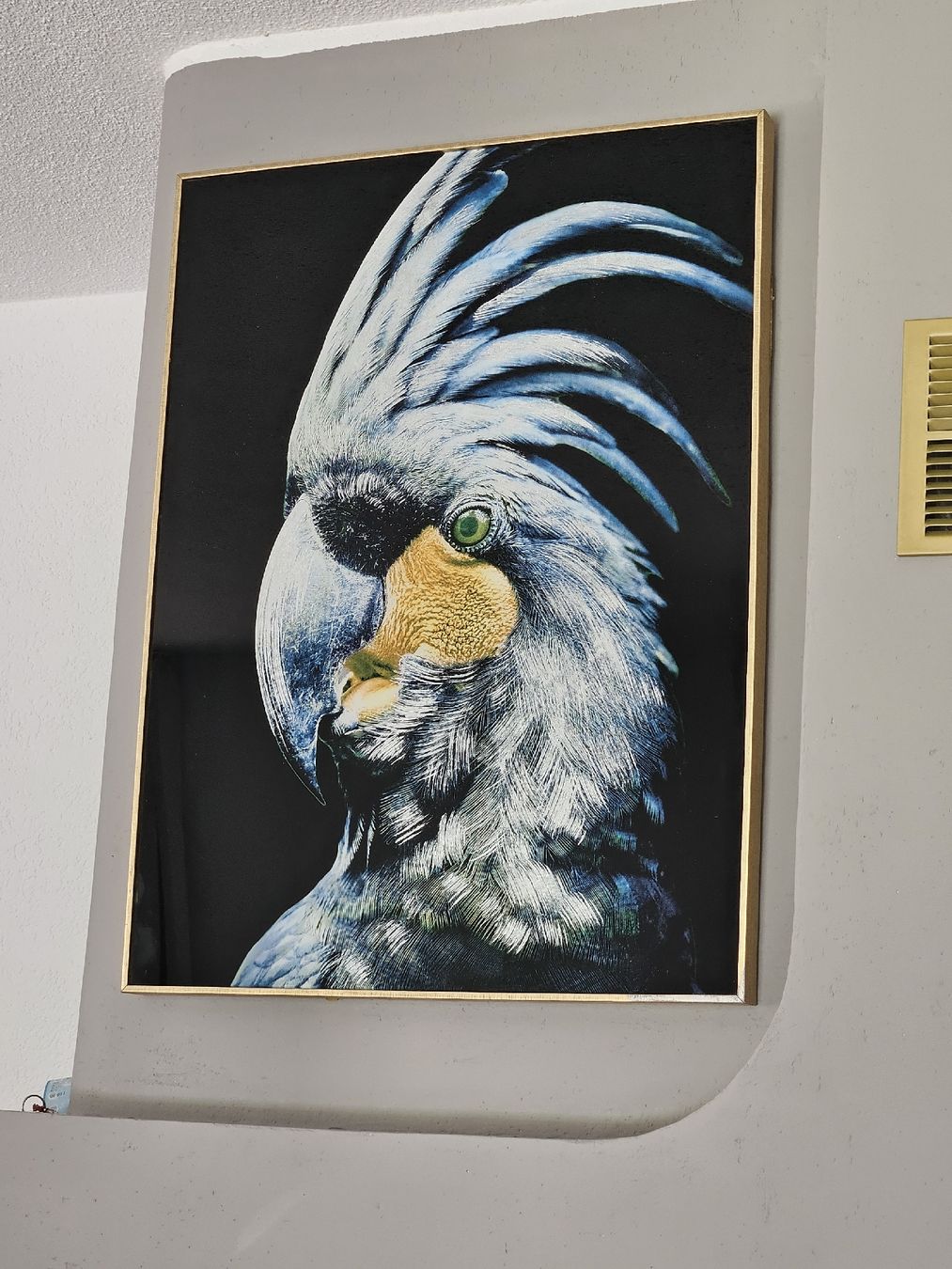 Foto & Immagini: Wandbild in Goldrahmen 80×60 – Usato da Hombrechtikon venduto da jenmo