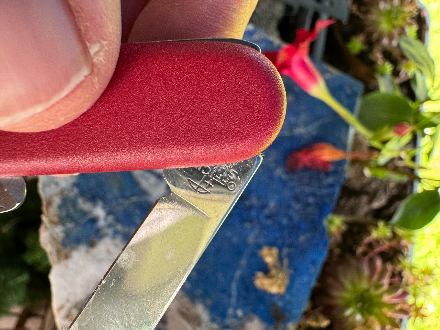 Victorinox Coltellini militari: Omega Schalenmesser Victorinox – Usato da Ipsach venduto da Besos 2