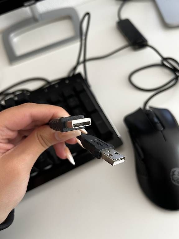 Tastiere: SILVERCREST SGKR A1 Halbmechanische Gaming-Tastatur mit Maus – Usato da Buchs ZH venduto da celin_k_06 4