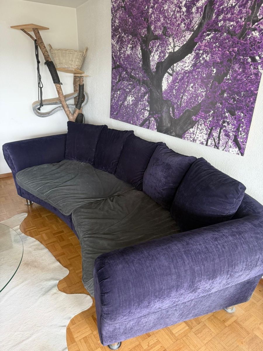Divani: Sofa, violett/grau, XXL – Usato da Neuhausen venduto da NatashaST