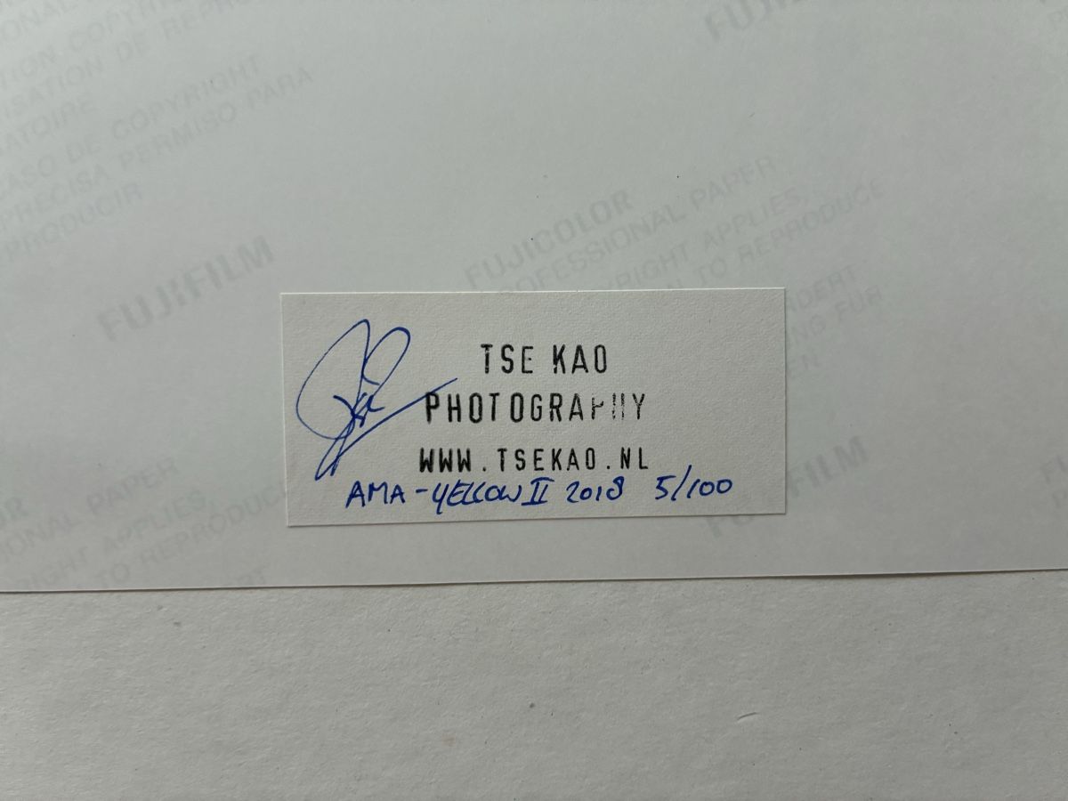 Gemälde: Grossformatiger C-Print von Tse Kao, limitierte Edition – Gebraucht aus Zürich von 718zzQk99 2