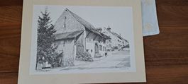 Bild / Zeichnung