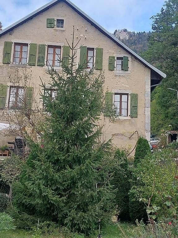 Tutte le decorazioni: Sapin de Noël  – Nuovo e nell'imballaggio originale da Baulmes venduto da Yanni94 4