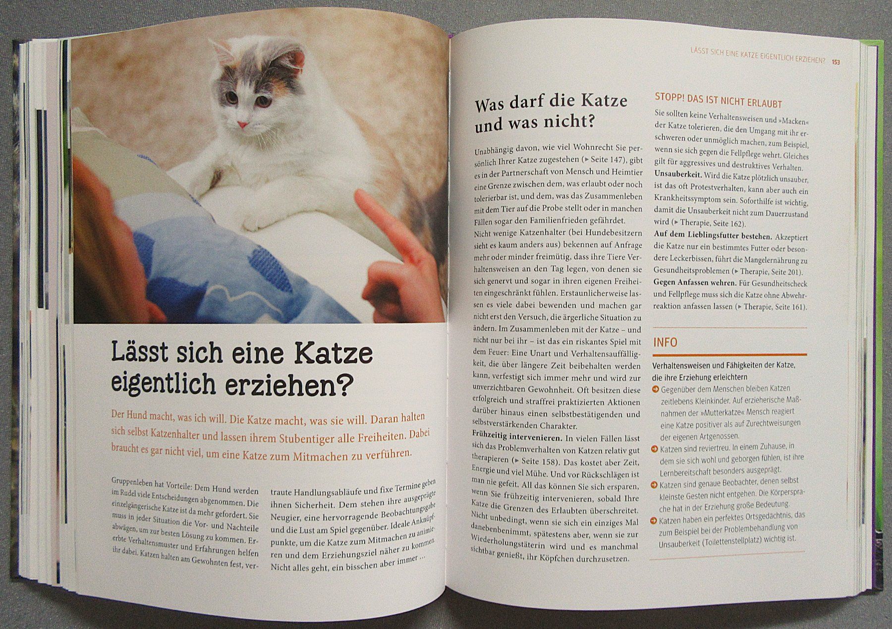 Bücher: Katzen - Das grosse Praxishandbuch - GU – Gebraucht aus Auenstein von Padabimbim 6