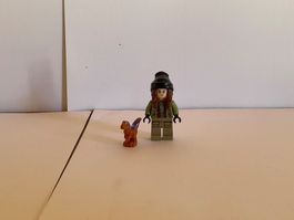 Lego Jurassic World Figur mit Dinosaurier gebraucht