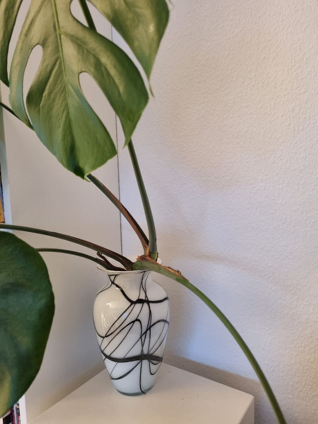 Vasen & Gefässe: Schwarz-weisse Vase – Neu (gemäss Beschreibung) aus Zürich von cle_7zph 1