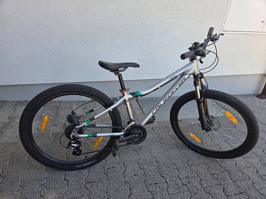 Biciclette: Bike California Laser M – Usato da Dinhard venduto da Xspark