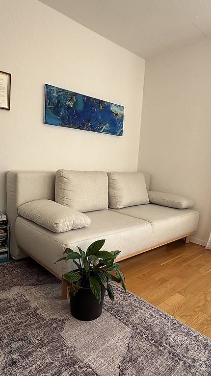 Divani: Bettsofa Johann Jakob / Pfister  – Usato da Liebefeld venduto da BernVerkaufAnkauf