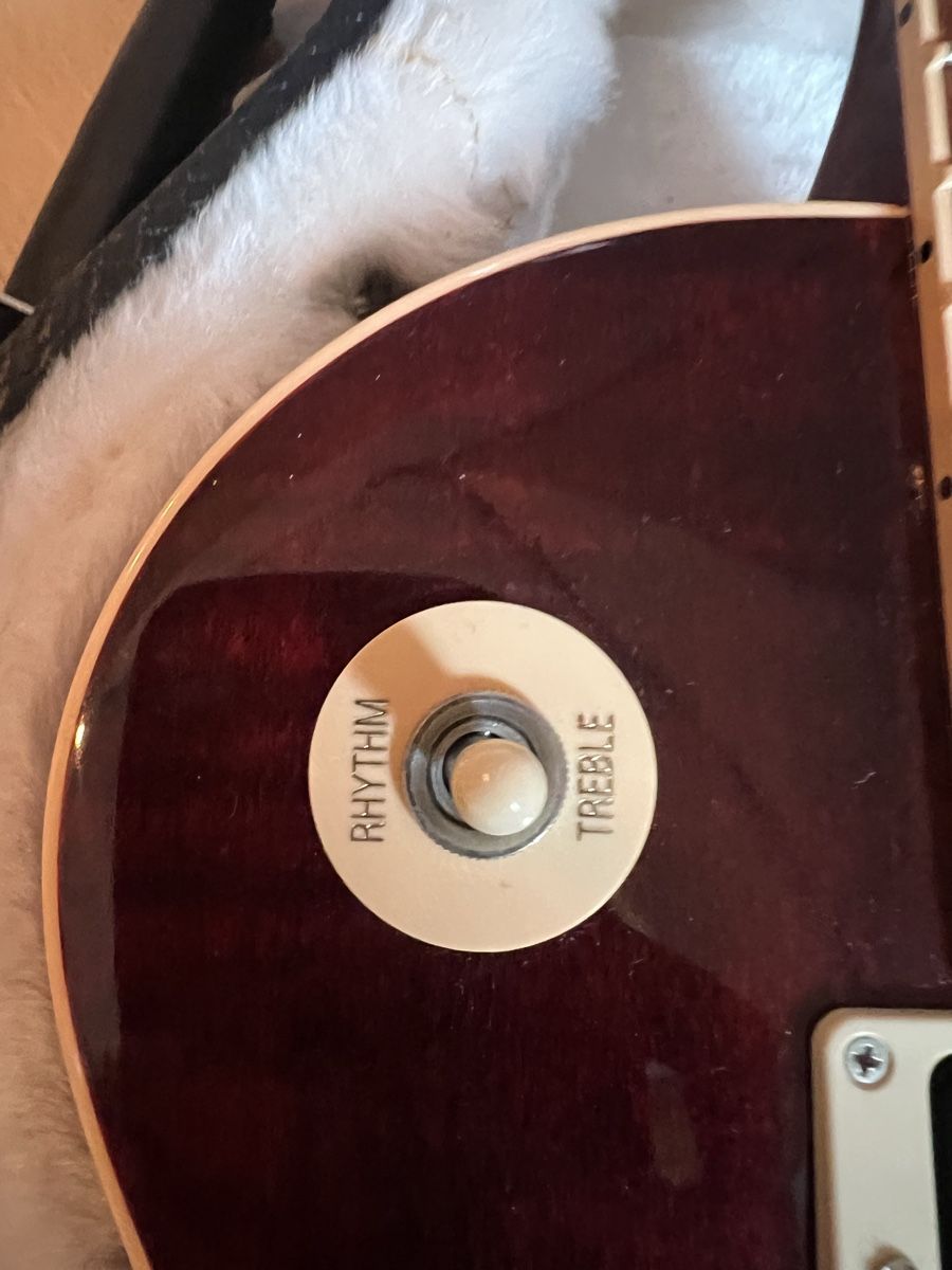 Gibson Strumenti musicali: Gibson Les Paul E-Gitarre Tribute T wine red – Nuovo (secondo la descrizione) da St.Gallen venduto da A9000 5
