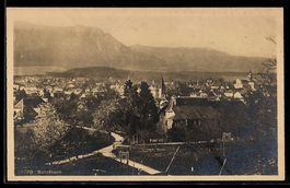 Solothurn, Stadtpanorama mit Kirchen und