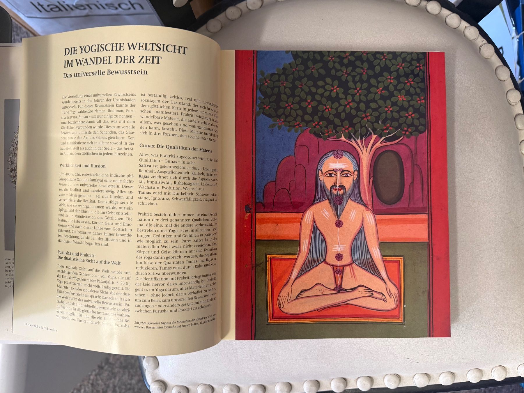 Bücher: Yoga – Gebraucht aus Dietikon von Buchantiqdietikon 1