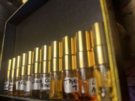 NICHE — KIT DÉCOUVERTE spécial Francesca Bianchi EXDP 11x2ml