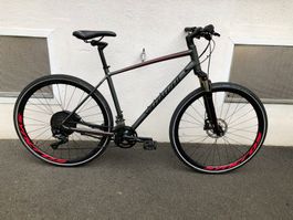 Specialized Cross Citybike trekking Velo 28" Grosse L 52cm