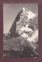 Station Eigergletscher - EIGER