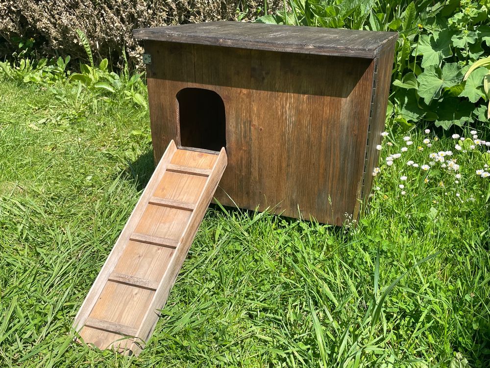 Bienbee Meerschweinchenhaus Aus Holz – Mit Heu-Futterstation & Weicher Matte