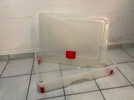 Aufbewahrungsbox durchsichtig mit Rollen gebraucht
