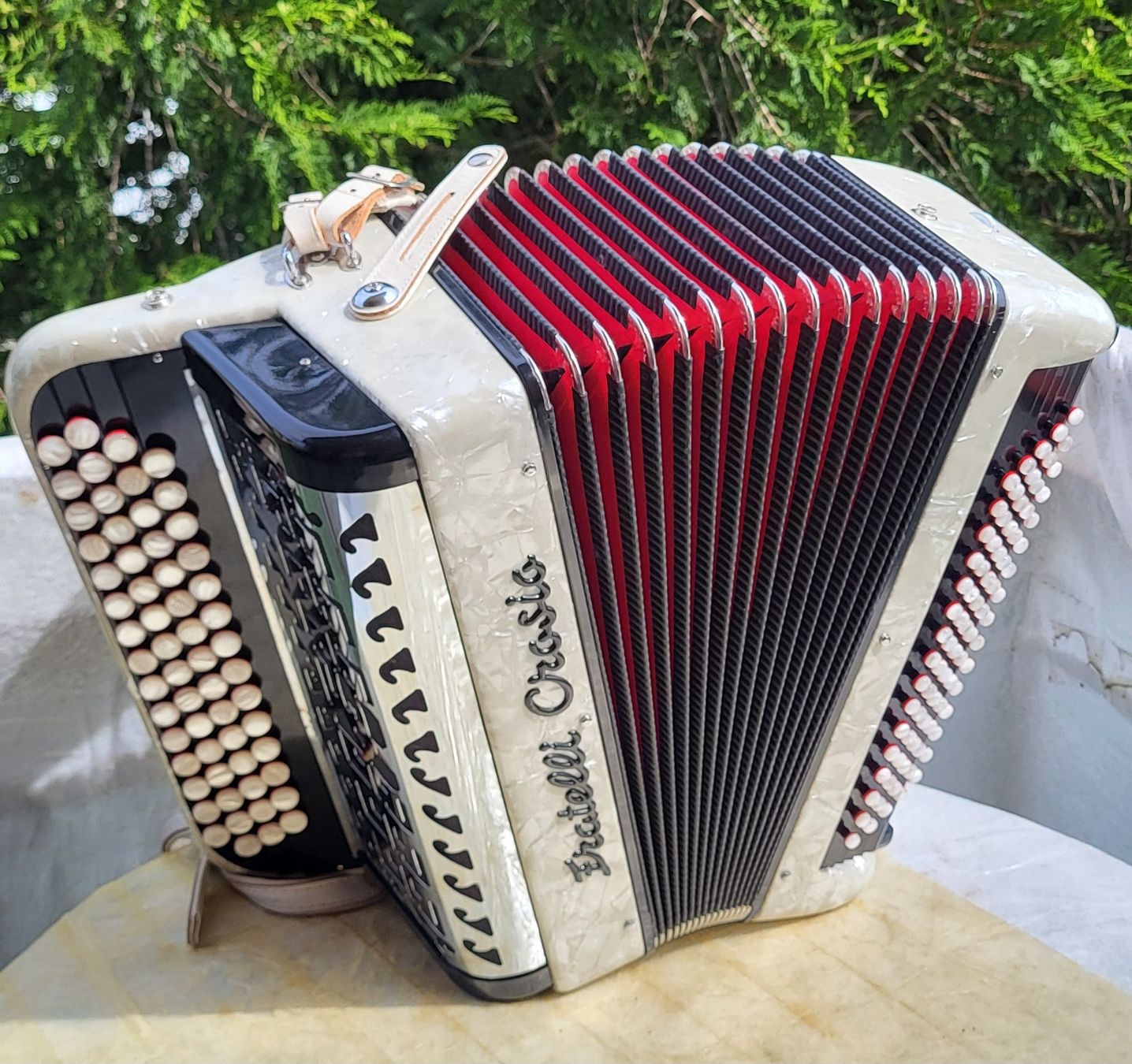 Strumenti musicali: Accordéon Fratelli crossio à Gradin – Usato da Penthalaz venduto da EvandroLuz 2