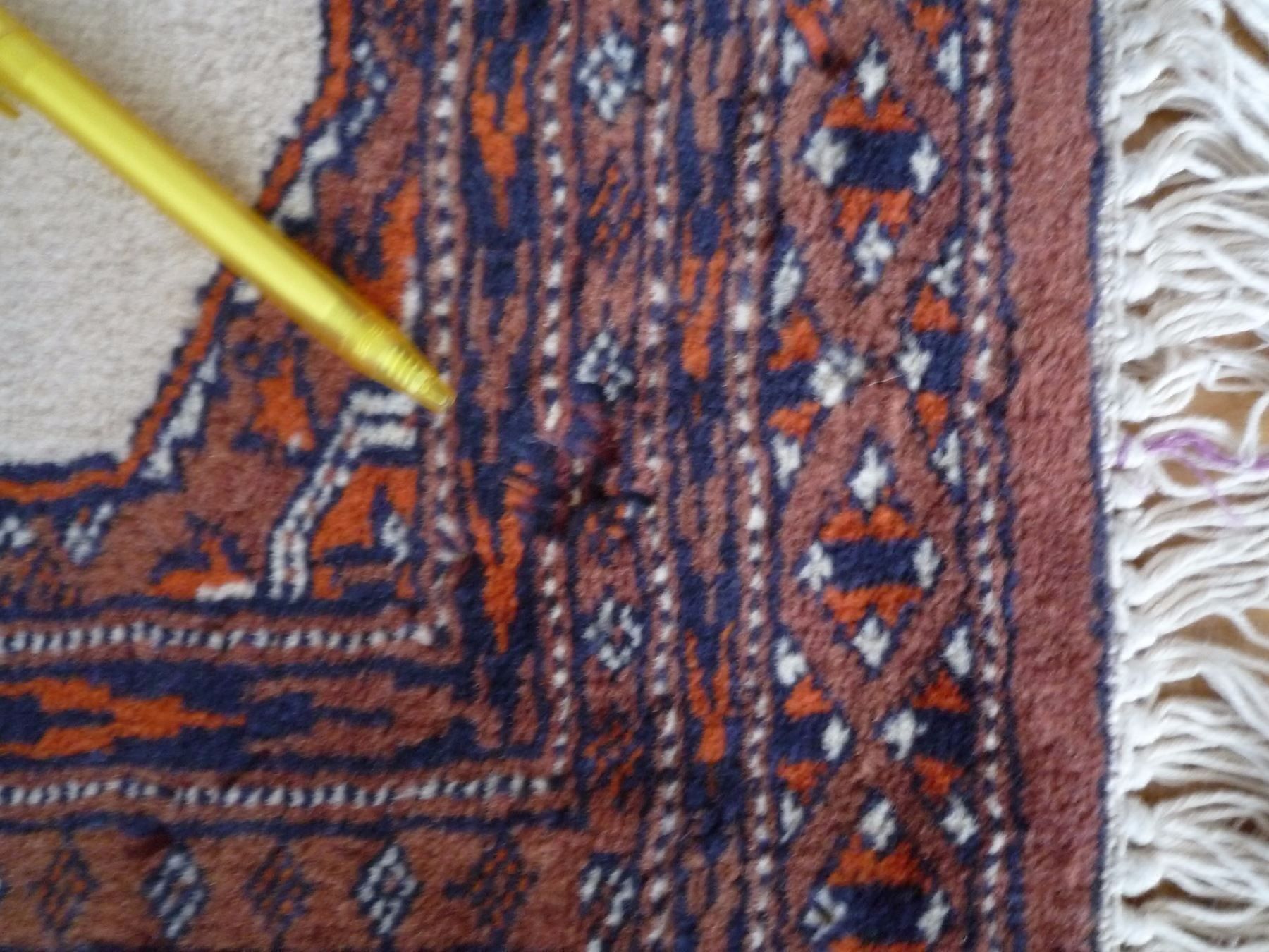 Tappeti: Pakistan Pendik Orientteppich – Usato da Rafz venduto da Sonnenblume305 2