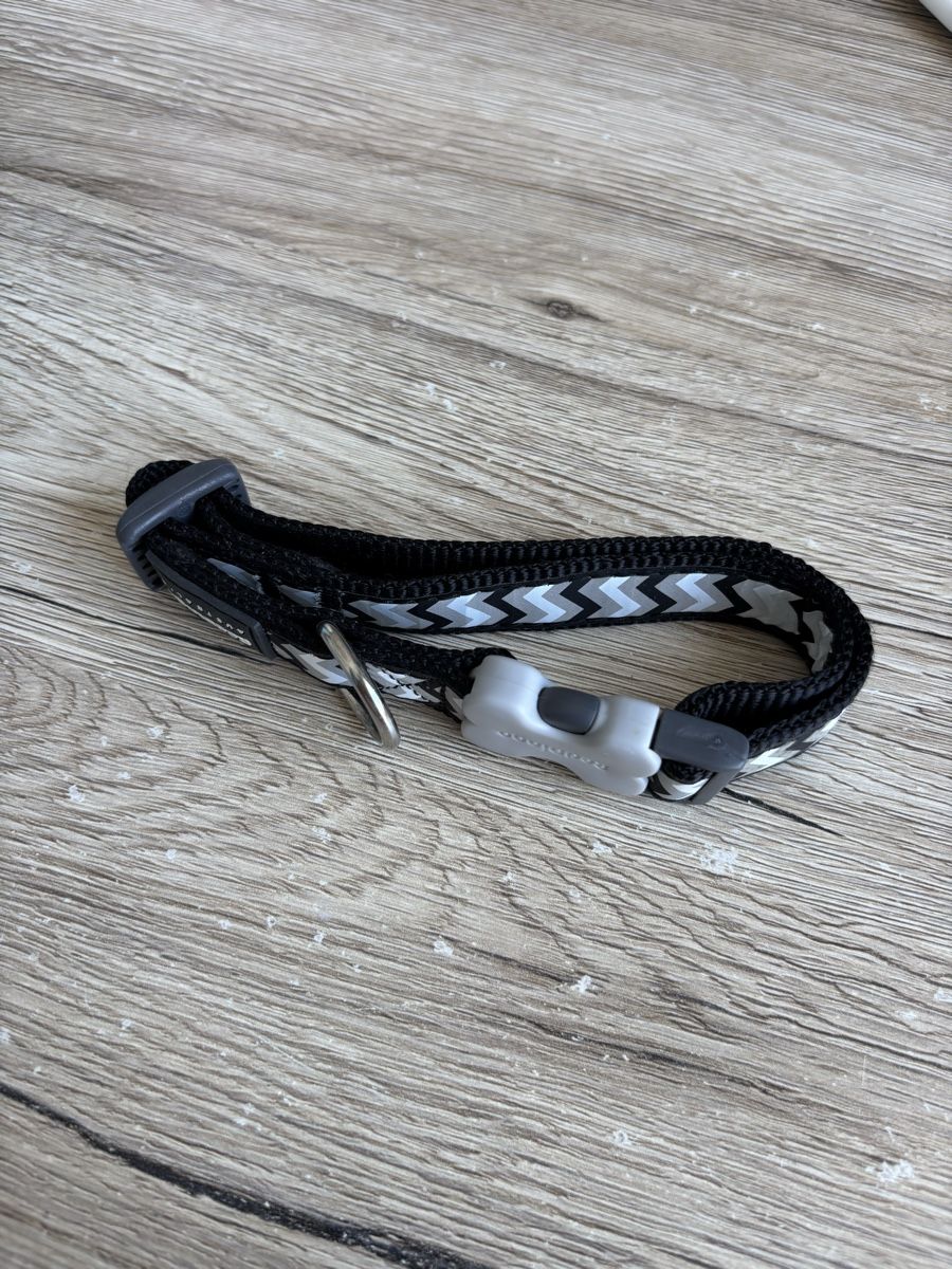 Nastri decorativi: Hundehalsband, schwarz-grau, verstellbar – Nuovo (secondo la descrizione) da Steinmaur venduto da aly_mhs6 1
