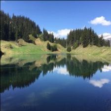 Profile image of bergsee-copyright