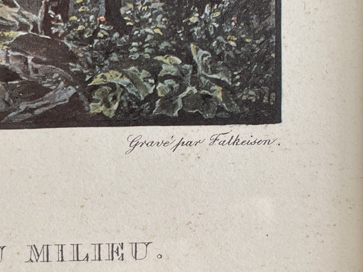 Stiche: Stich Disentis – Gebraucht aus Schaffhausen von wunderpraechtig 4
