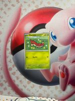 Wurmple Pokemon Karte Holo/Reverse Holo/Common