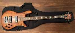 Spector Euro RST 4-String in Sienna Stain