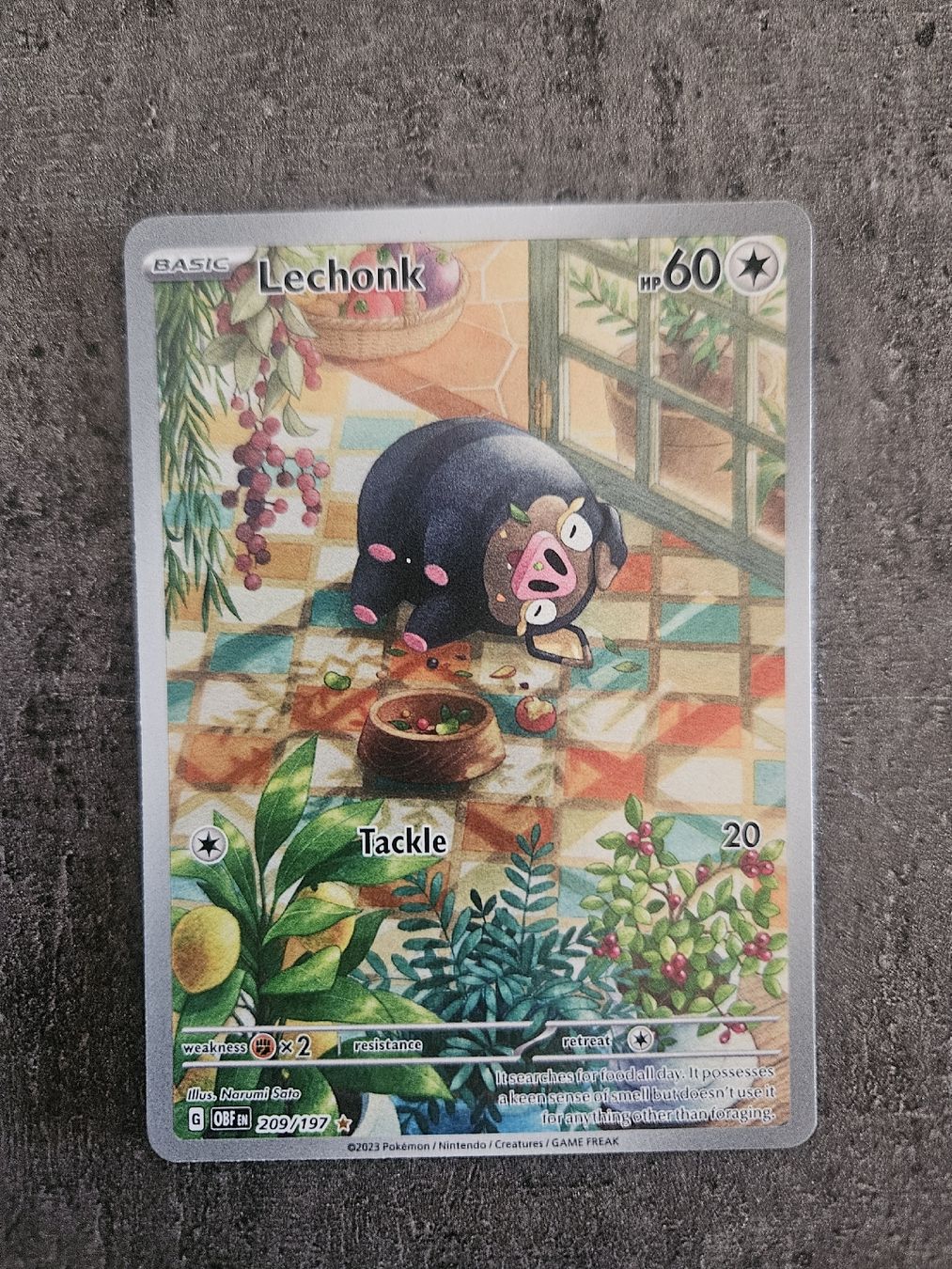 Pokémon Carte collezionabili: Lechnok OBF EN 209/197 – Nuovo (secondo la descrizione) da Aarau venduto da san_pb85