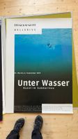 Ausstellungsplakat, Unter Wasser, Bellerive 2001