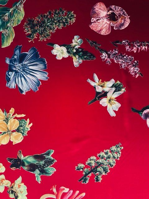 Fabric Frontline Foulards, Tücher & Schals: Seidenschal Fabric Frontline – Neu (gemäss Beschreibung) aus Zürich von Poppy108 4