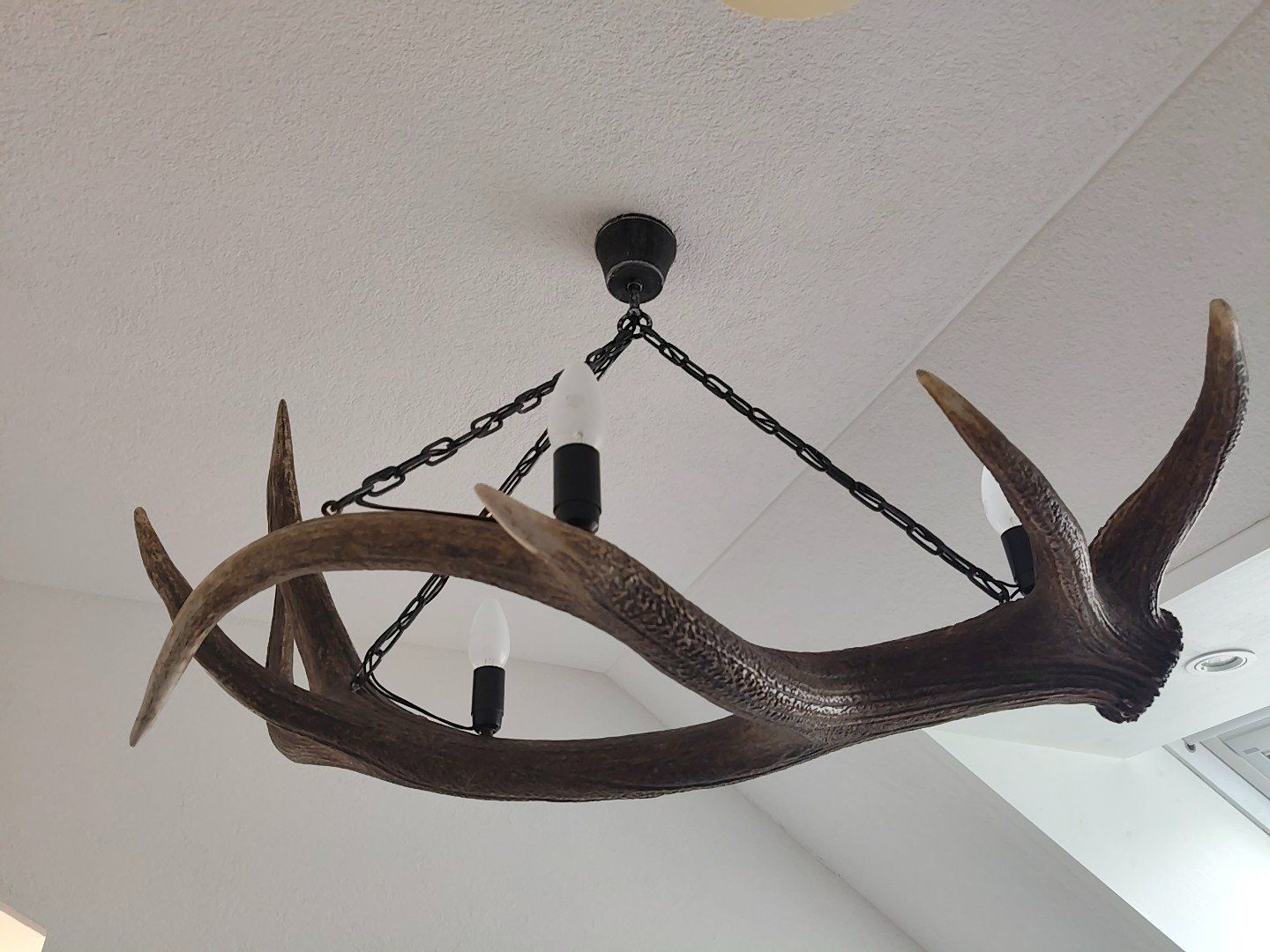 Lampade: Geweih-Lampen echt (6 Stk.) – Usato da Zug venduto da fio_gm7f 5