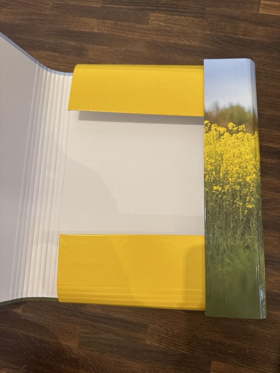 Raccoglitori: Pferde Ordner/Hefter A4, neu! – Nuovo e nell'imballaggio originale da Baar venduto da evs_2ybk 2