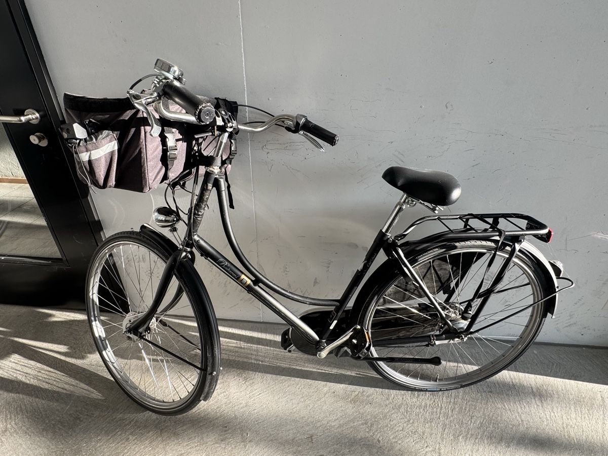 Batavus Biciclette: Batavus Old Dutch from 2020 – Usato da Schlieren venduto da mel_sn7c 8