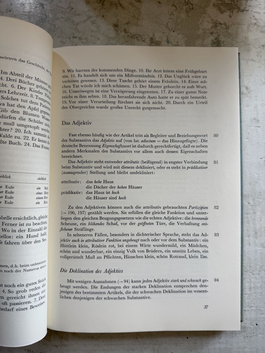 Libri: Richtiges Deutsch – Usato da Dietikon venduto da Buchantiqdietikon 1