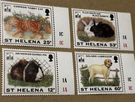 Tier Briefmarken St. Helena Katzen, Hunde, Kaninchen, Meersc