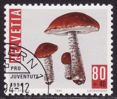 Pro Juventute SBK-Nr. 334 (Rotkappe 1994) gestempelt
