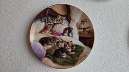 Sammlerteller Katzen / Jürgen Scholz 5