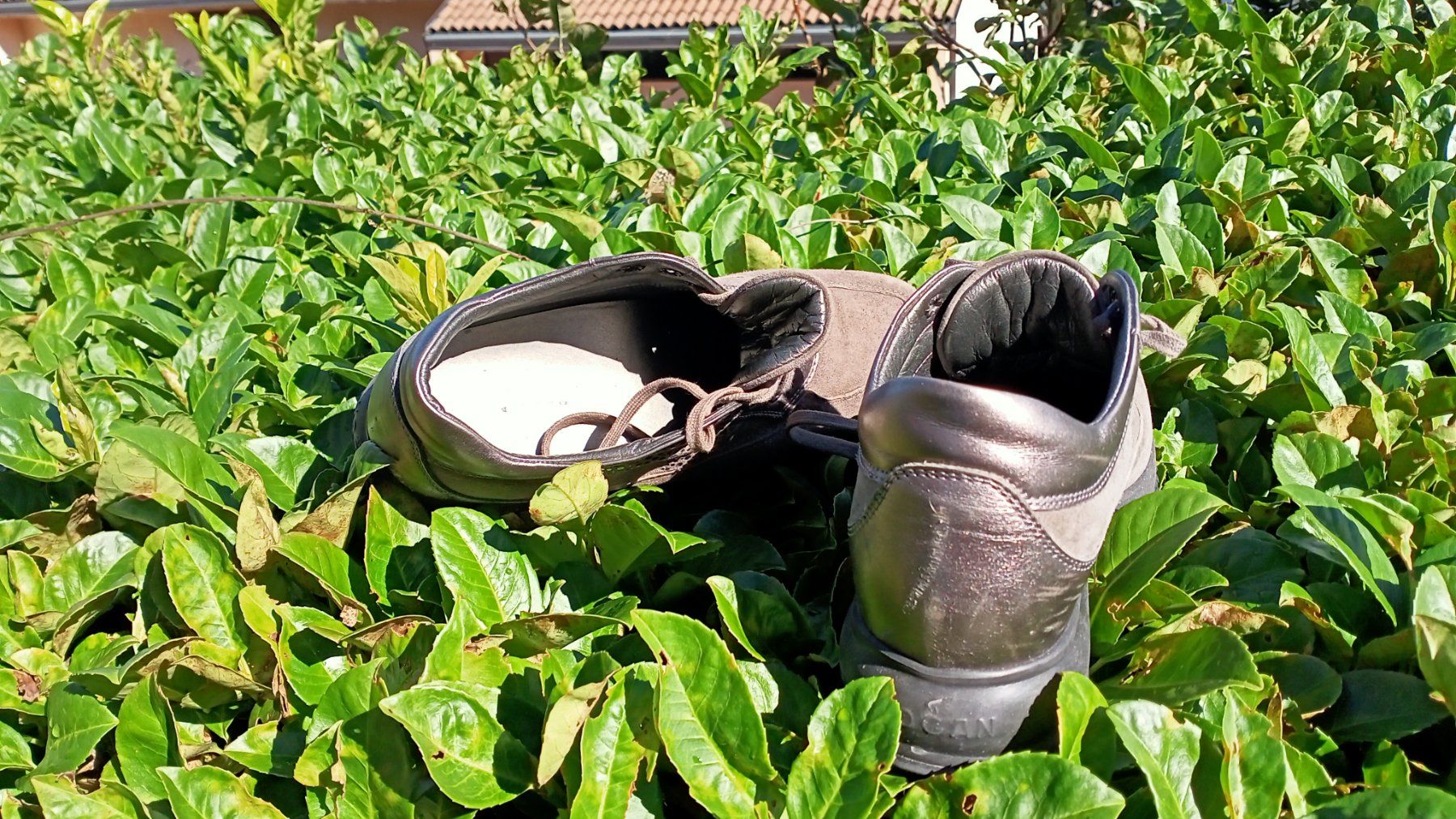 Hogan Scarpe da uomo: Sneakers Hogans Interactive autunno/inverno 37 – Usato da Brusino Arsizio venduto da Demidova 1