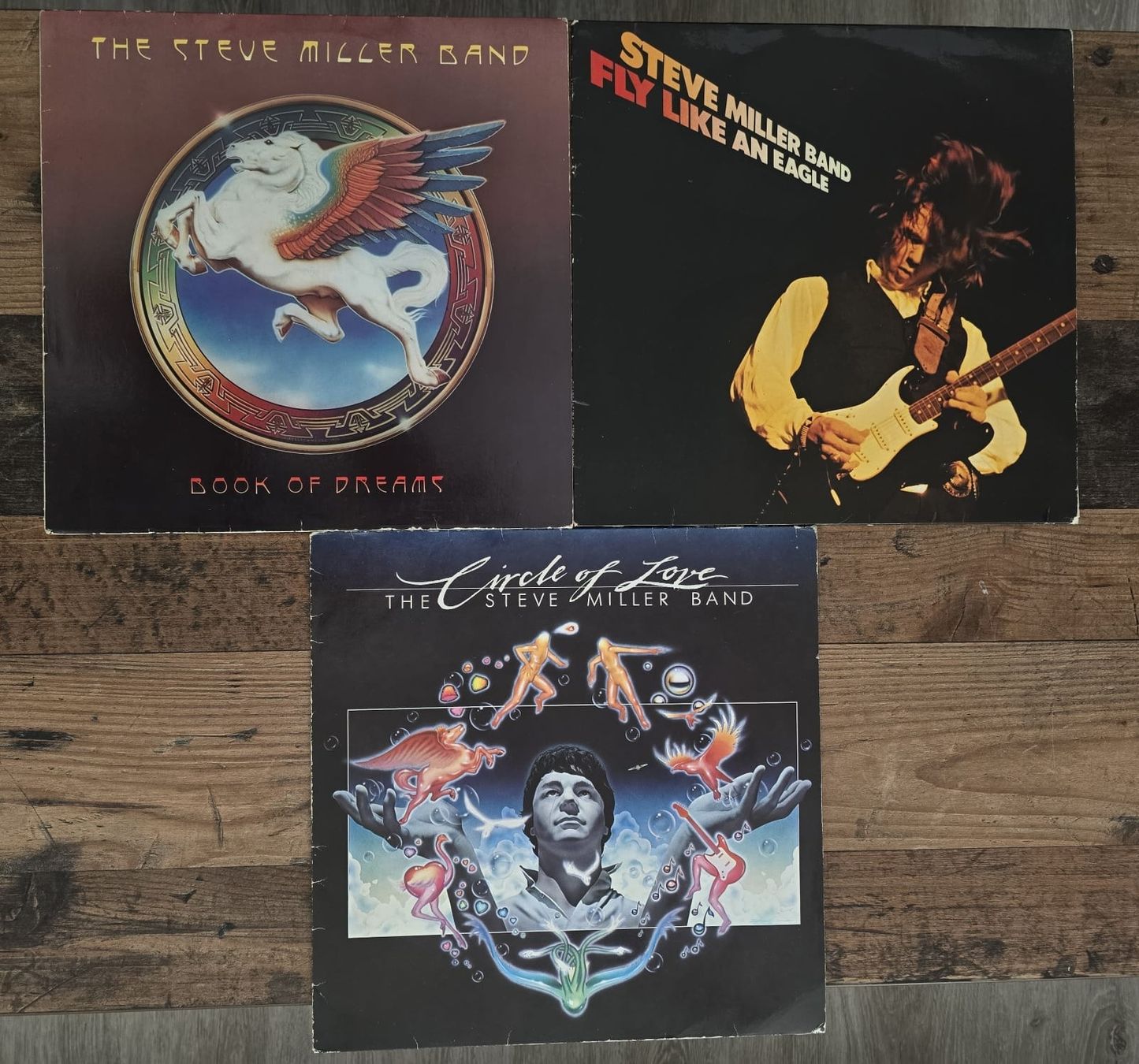 Dischi in vinile: The Steve Miller Band – Usato da Leukerbad venduto da Anne.ops