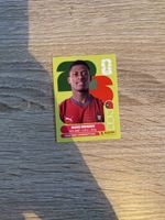 Panini POR 7