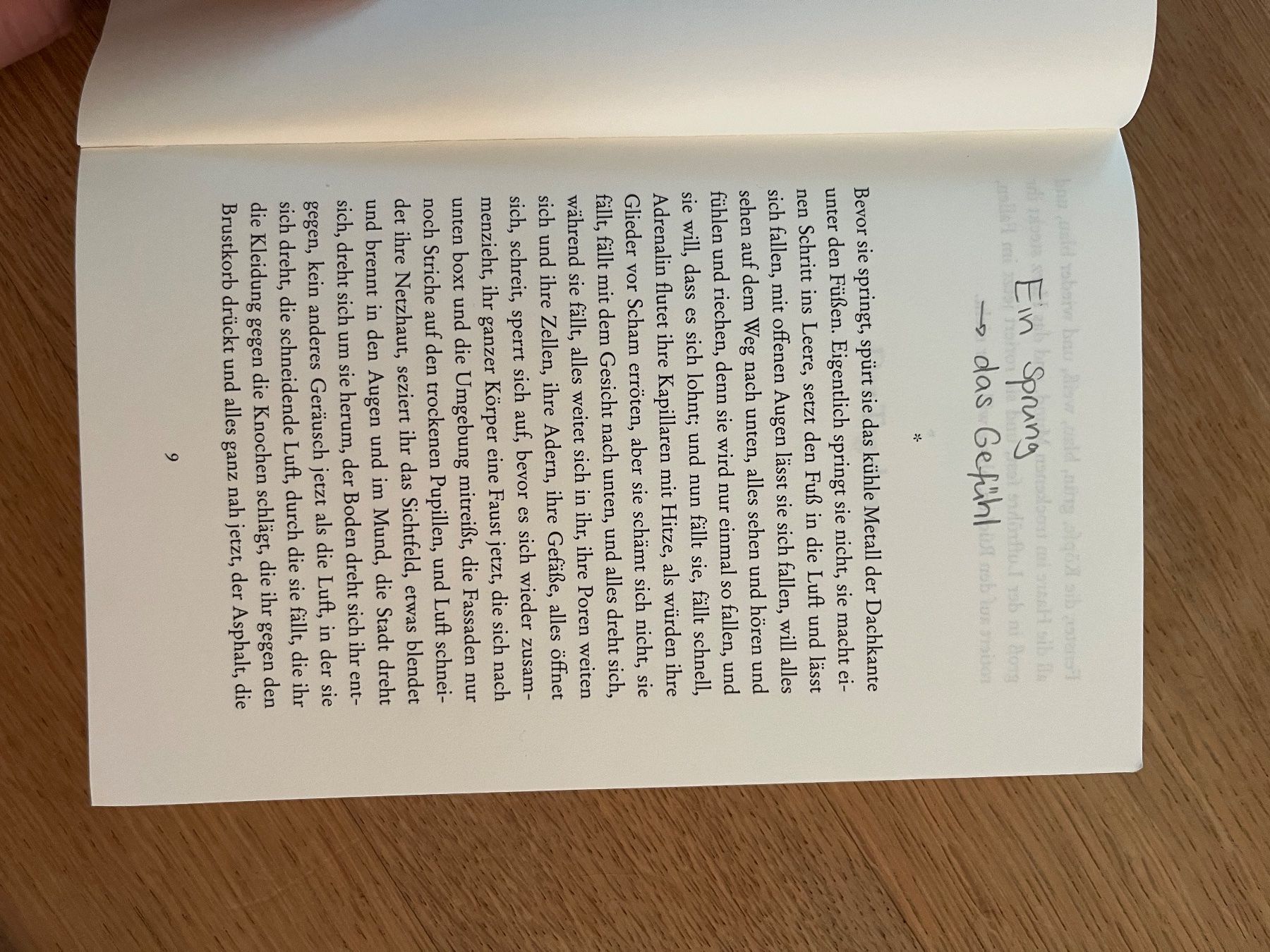 Bücher: Roman "Der Sprung" - Simone Lappert – Gebraucht aus Laupen BE von lee_ym6v 4