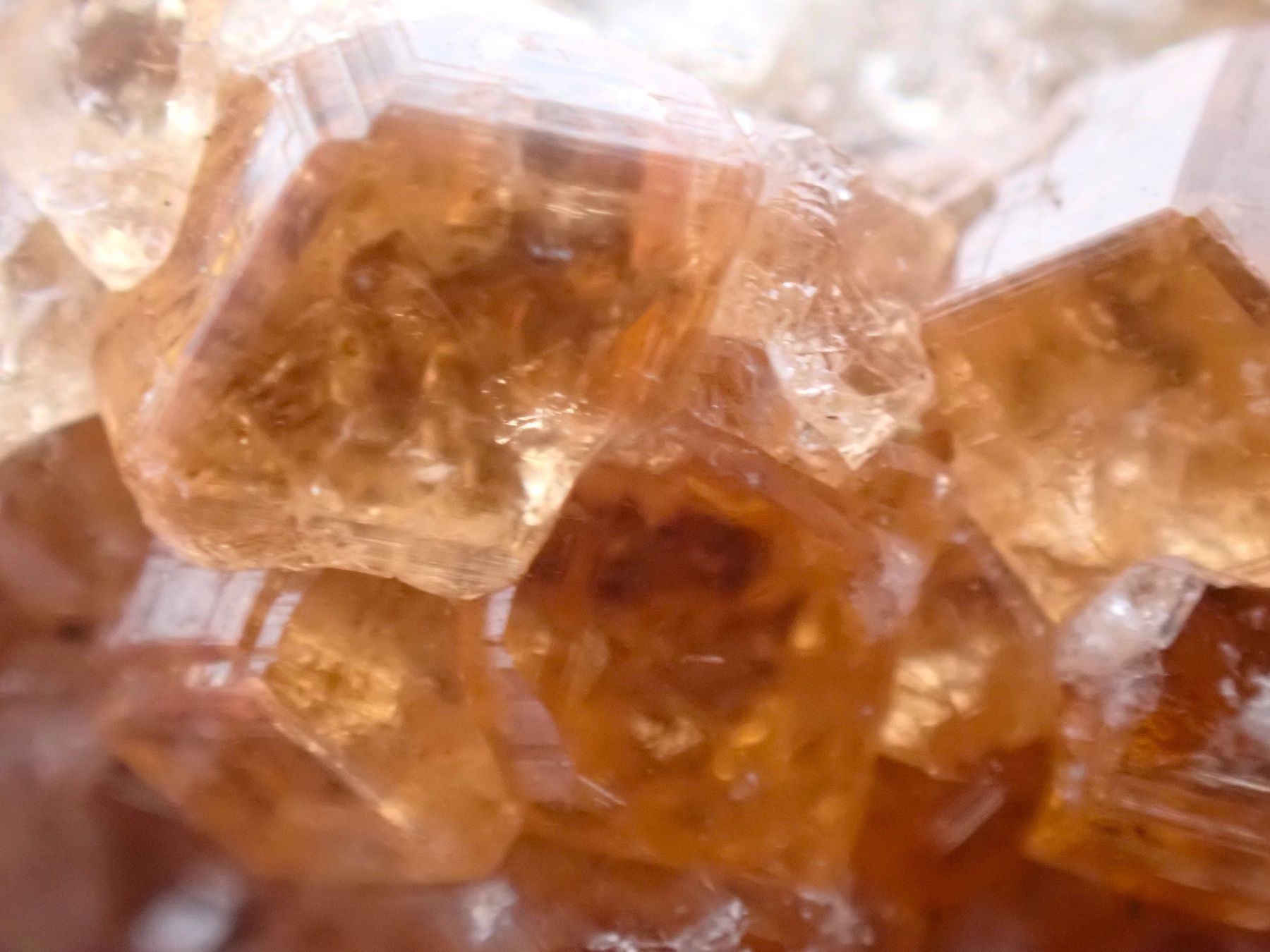 Mineralien & Heilsteine: RaRe Hessonite Jeffrey Mine, Québec, Canada – Gebraucht aus Figino von panshop 1