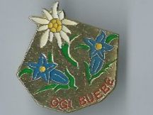 OGI Buebe Pin