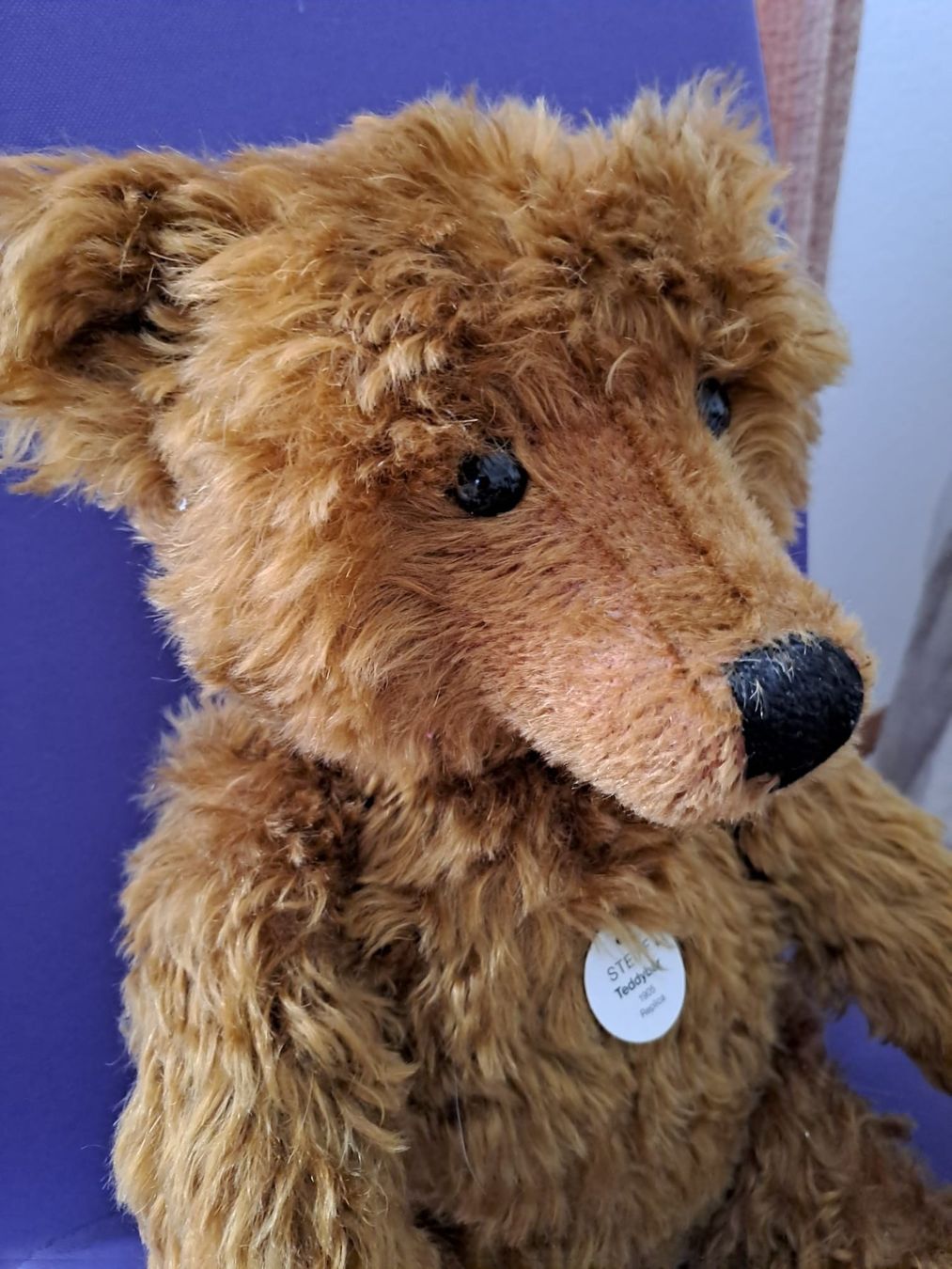 Steiff Giocattoli: Steiff – Usato da Hausen AG venduto da Topas0 2