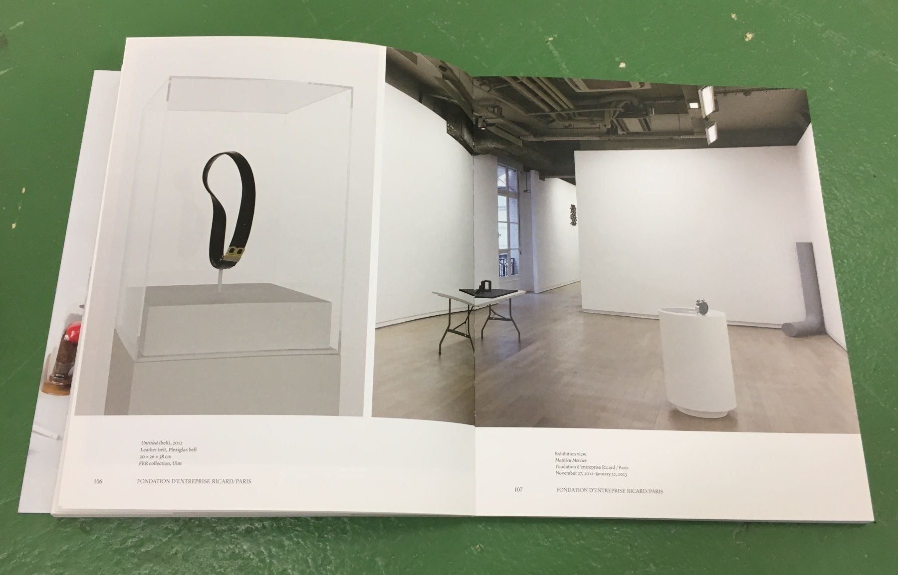 Libri: Mathieu Mercier: Everything but The Kitchen Sink – Usato da Basel venduto da Ostschweiz06 1