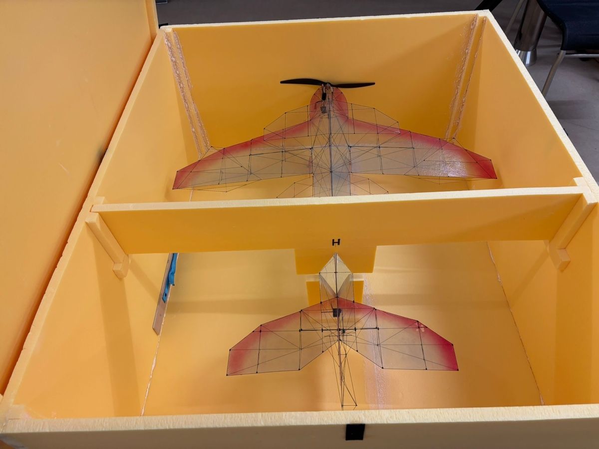RC Kits de montage: Indoorflieger 50gr – D'occasion à Altendorf par Roman771