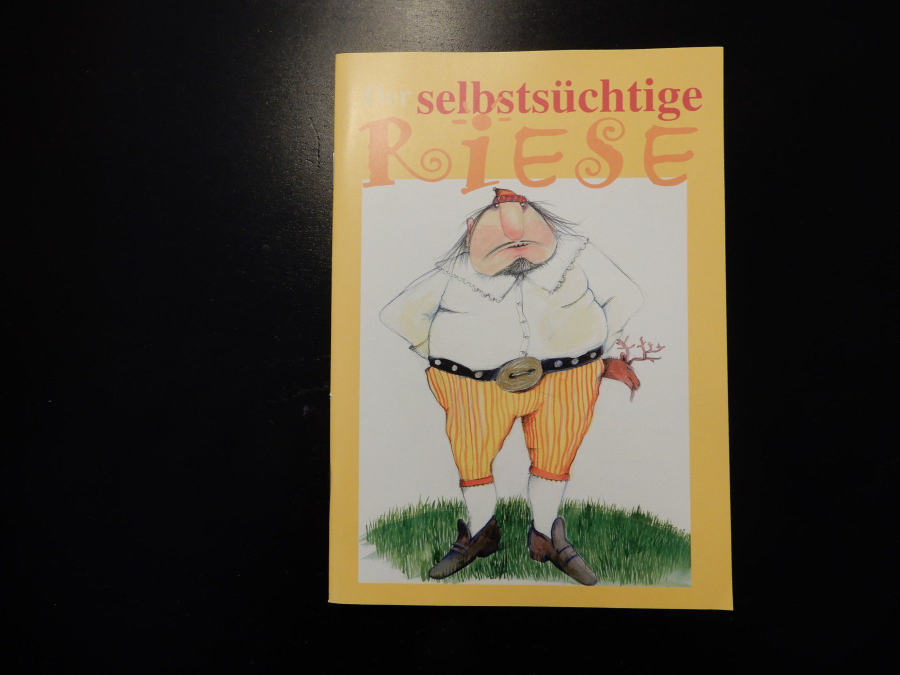 Libri: Der selbstsüchtige Riese - Kinderbuch – Usato da Erstfeld venduto da Mario_boe0
