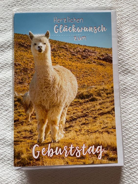 Geburtstags Karte Umschlag Glückwünsche Alpaka Acheter sur Ricardo